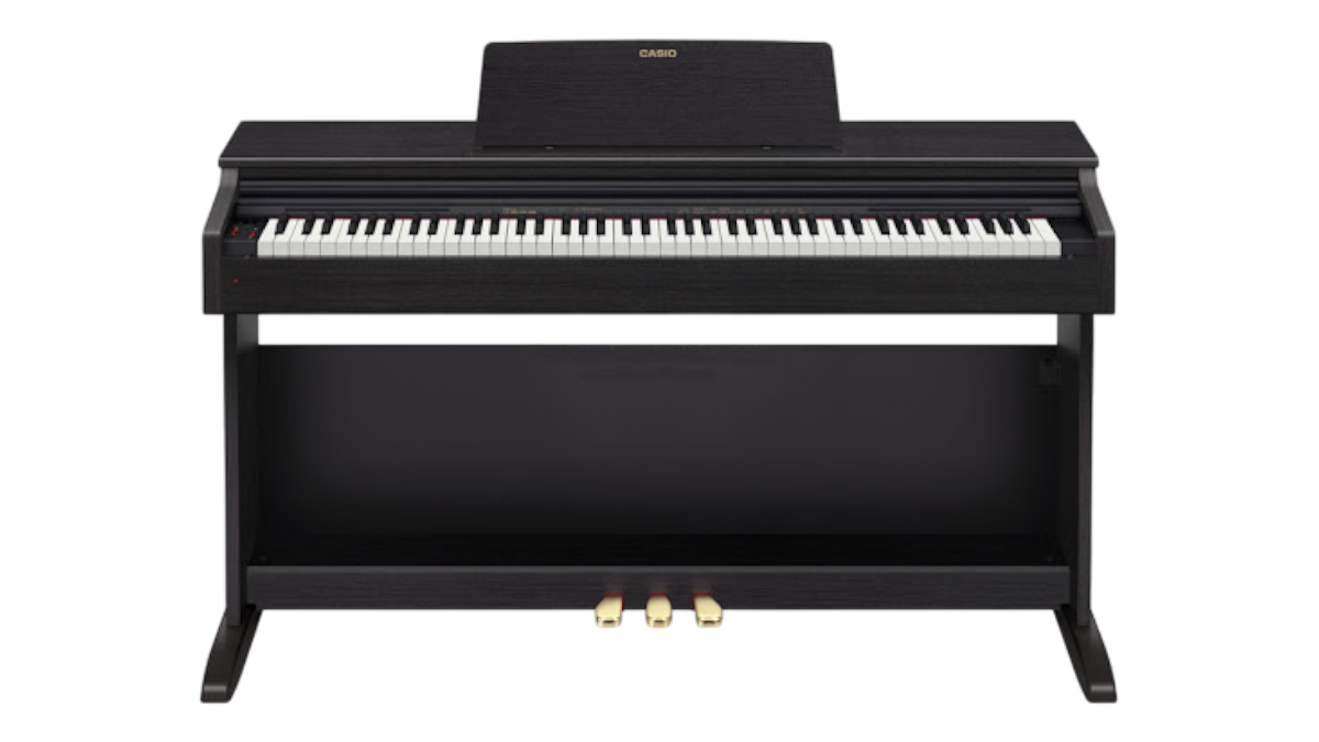 Сервисный центр Casio в Санкт-Петербурге